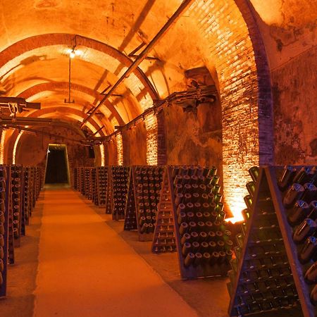 Champagne Central - Exceptionnel 3 Chambres Reims Dış mekan fotoğraf